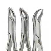 Tooth Extracting Forceps|(amr)